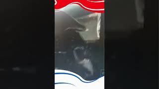 Wanita Telanjang Di Mobil Dinas Dprd Jambi
