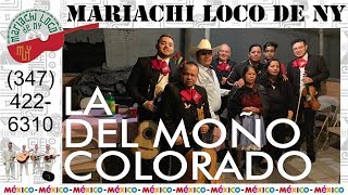 La Del Moño Colorado - El mejor mariachi de New York - Mariachi Loco de NY (914) 222-0722