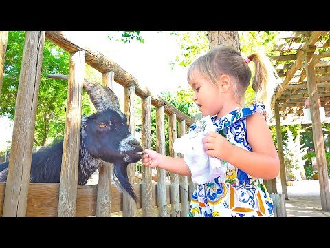 Old MacDonald had a farm - Nursery Rhymes funny song for kids by Olivia Vlog