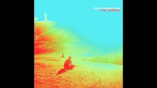 Watch Flaming Lips The Terror video