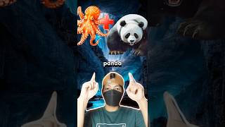 Octopus Panda Ex Animals Animals