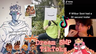 Dream SMP Tik Tok Compilation