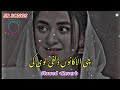 Che alakano zulfe loye k tapay slowed reverb | SR SONGS