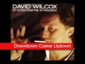 David Wilcox  - My Eyes Keep Me In Trouble (Full Album)