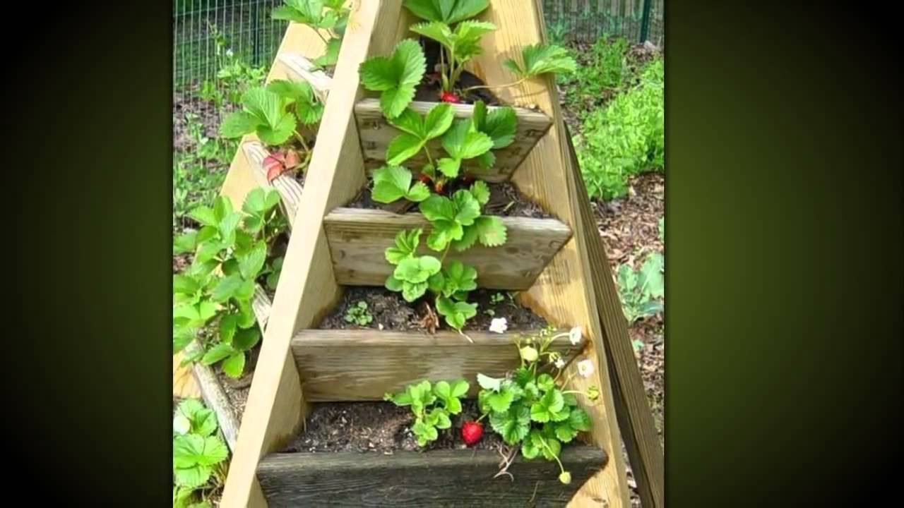 Сажать клубнику в трубах вертикально плюсы и минусы 54