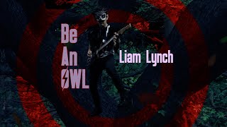 Watch Liam Lynch Be An Owl video