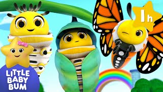 Caterpillar And Butterfly | Little Baby Bum | Kids Cartoons & Nursery Rhymes | Moonbug Kids