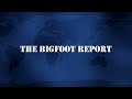 ‪The Bigfoot Report - Bigfoot News #17 - Bill Munns Breaks Down Latest Matilda Bigfoot Images