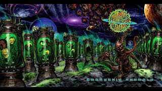 Watch Rings Of Saturn Embryonic Anomaly video