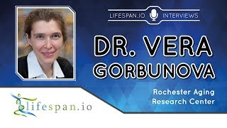 Interview with Dr. Vera Gorbunova: What can we learn about longevity from the naked mole rat? | LEAF