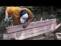 workbench tools