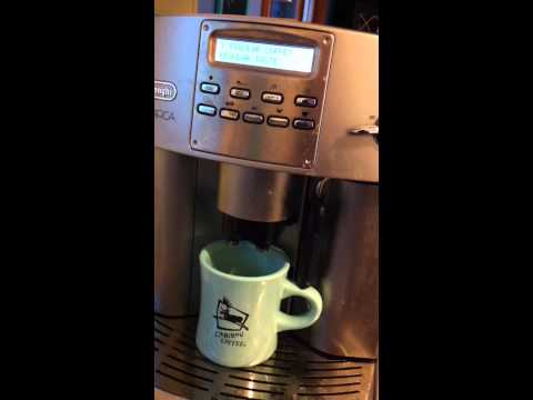 Leaking Delonghi Magnifica Update Repair Makeup Guides