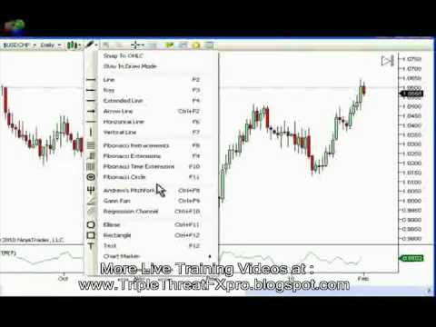 Forex Pips Gather System