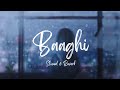 Baaghi - OST | Slowed & Reverb | Lofi Lobo