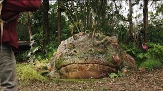Giant Frog scene - Love and monsters(2020)