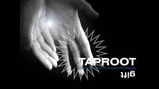 Watch Taproot Now video