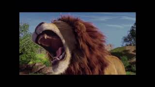 The Wild Samsons Roar