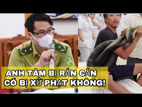 Người đàn ông bị rắn hổ mang chúa cắn ở Tây Ninh có bị xử phạt không?