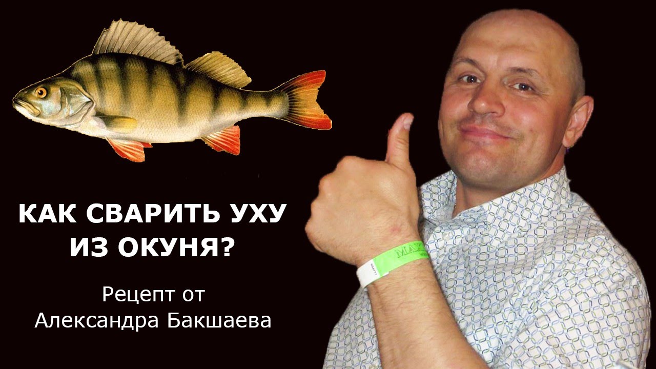 Как приготовить уху в домашних условиях окунь Как приготовить уху в домашних условиях окунь