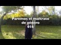 imagen del vídeo escolar