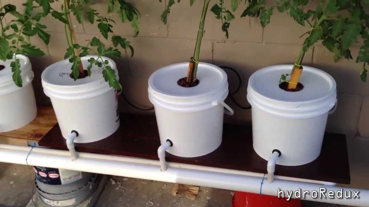 Home made reasonably-priced Hydroponics