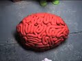 The Infestation of the Nutty Joes