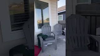 Periscope Live Lovelygirl 2024