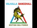 British Sea Power - Cleaning Out the Rooms