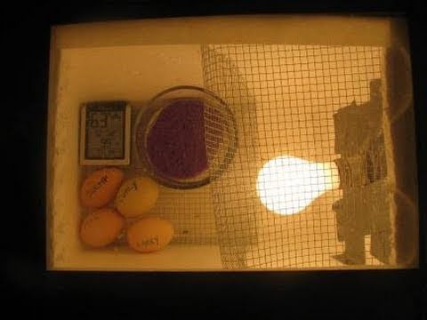 How to make an Egg Incubator - YouTube