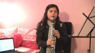What Makes You Beautiful-One Direction (Clarinet Cover)