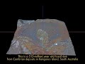 New Fossils Demonstrate That Powerful Eyes Evolved in a Twinkling