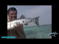 Barracuda fishing - Totally Awesome Fishing klip izle