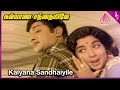 Kalyana Santhaiyile Video Song | Sumathi En Sundari Movie Songs | Sivaji Ganesan | Jayalalithaa