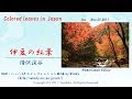 2011年伊豆の紅葉 天城滑沢渓谷 Colored leaves in Japan: Namesawa Valley in Izu