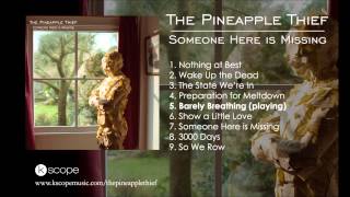 Watch Pineapple Thief Barely Breathing video