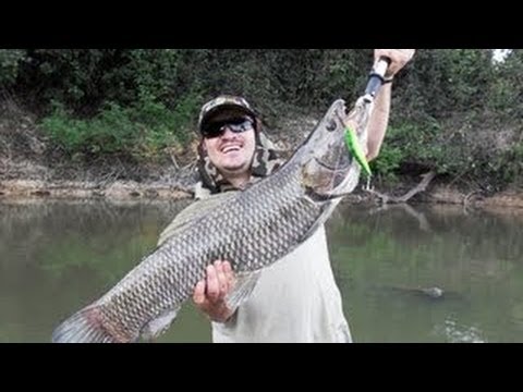 Tremendos piques filmados de este prehist rico y carnicero habitante de