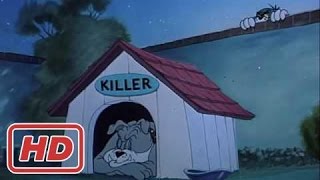 Full Hdtom And Jerry - Smarty Cat 1955 - Fragment