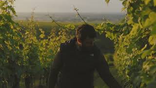 JÜLG WEINGUT | Image & Web Commercial Campaign | 01