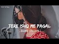 🎧Slowed and Reverb Songs | Tere Ishq Me Pagal | RAJIB 801