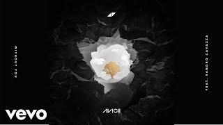 Watch Avicii Without You video
