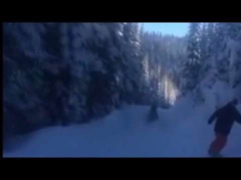 Snowboarders take on moose