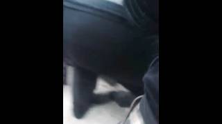 Видео ДТП Вася единец от Samrat Cebotar, Единец, Молдова