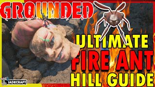 Grounded Ultimate Guide To The Fire Ant Hill - 100 Upgrade Rocks 3 Mega 2 Milk Molars And Scab