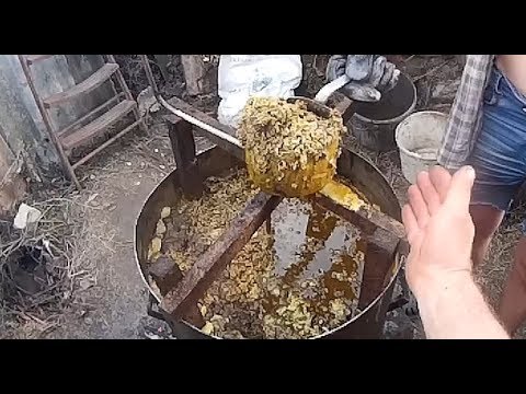 Как вытопить воск из сот в домашних условиях 897