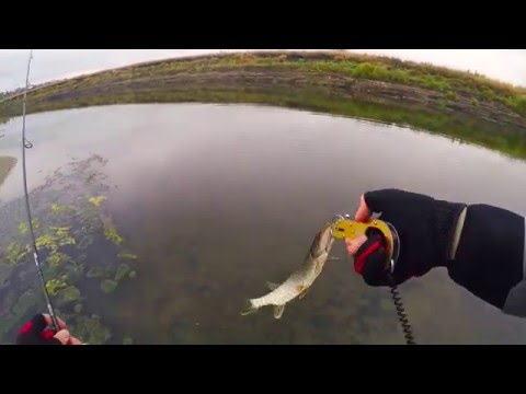 ловля весенней щуки на воблеры видео ловля весенней щуки на воблеры видео