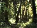 Mount Taranaki Access | RM. Mount Taranaki Access | RM.