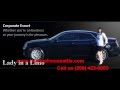 SeaTac and Seattle Limo service