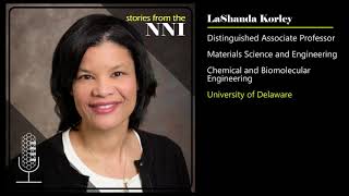 Bio-Inspired Nanotechnology: A Conversation with LaShanda Korley