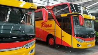 Yang Baru Riyan Transport Jetbus3 Hdd