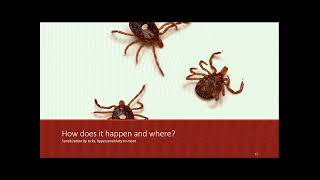 Alpha-Gal Syndrome Adh Public Health Grand Rounds